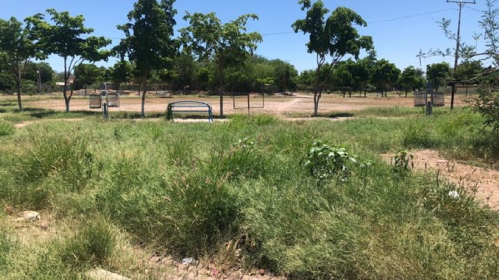 Parque ‘Los Hoyones’ se han convertido en un foco de infección en Navojoa