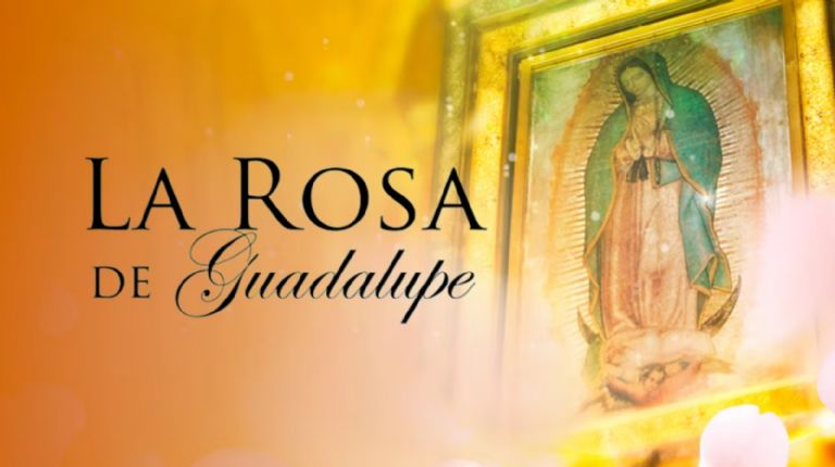 Shanik Berman pediría que le hagan un capítulo de La Rosa de Guadalupe 