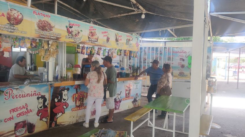 Coqueros de la Laguna del Náinari repuntan ventas durante periodo vacacional