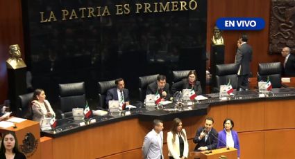 Tras sesión larga y caótica, Senado aprueba Reforma al Poder Judicial impulsada por AMLO