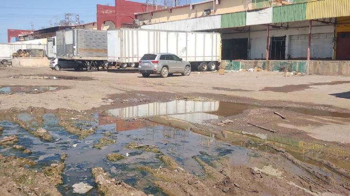 Central de abastos de Ciudad Obregón sufre ante una mala infraestructura