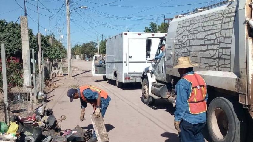 Colonia Guadalupana en 'focos rojos' por riesgo de dengue en Navojoa
