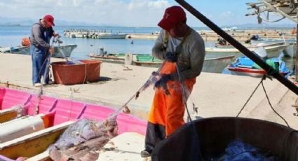 Ribereños de Guaymas y Empalme preparan artes de pesca; esperan buena temporada