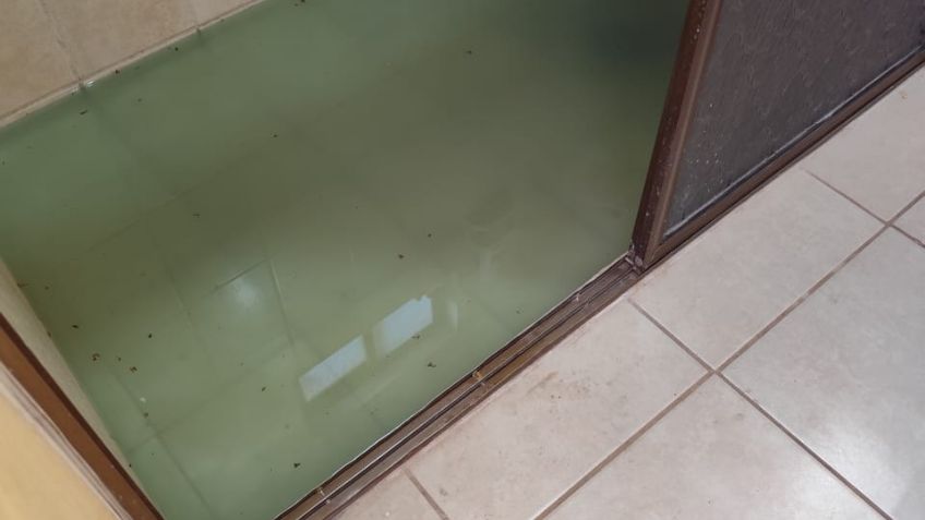 Ciudad Obregón: Vecinos de Las Cortinas sufren desbordamiento de aguas negras en casa
