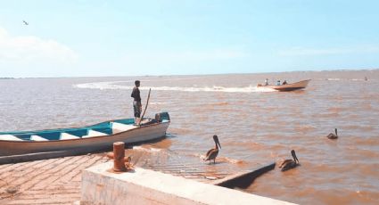 Camaroneros del sur de Sonora advierten un panorama negativo para la actividad