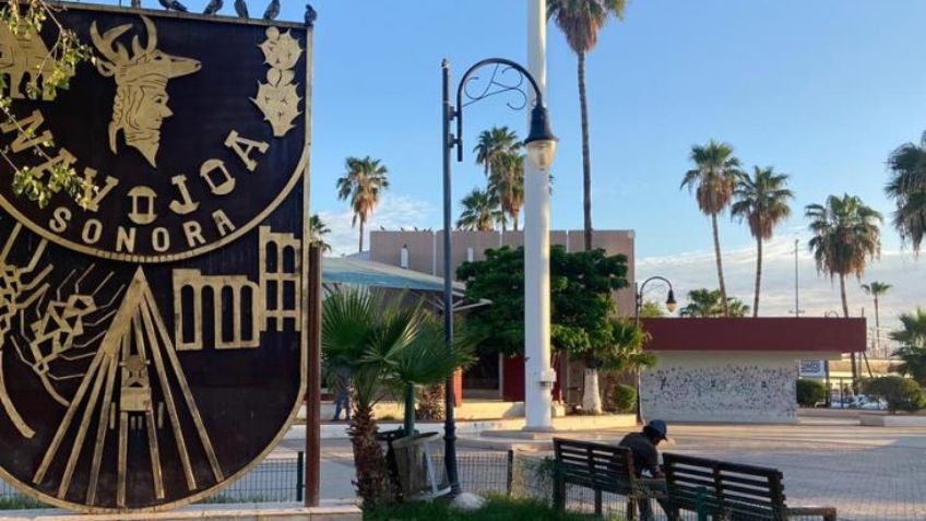 Más de 52 nuevas empresas abrieron sus puertas en Navojoa durante el último año