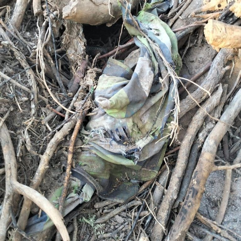 Restos son asegurados por autoridades de Sonora. Foto: Facebook