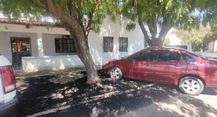 Fundación Ambiental del Valle del Yaqui denuncia daño realizado a árboles en la vía pública