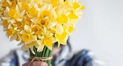 Increíble: Aquí el detrás del por qué se regalan flores amarillas cada 21 de septiembre