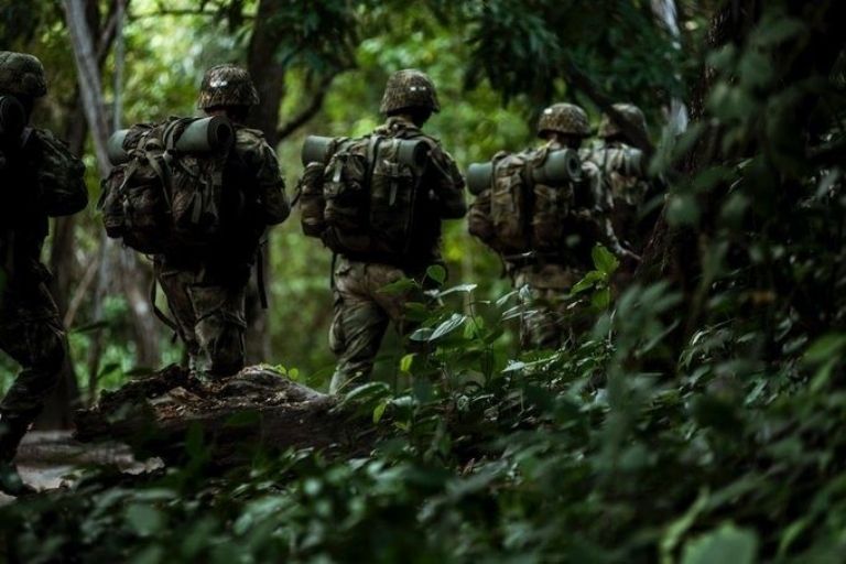 Desaparición de exmilitares colombianos en México; llegaron a cuidar aguacate