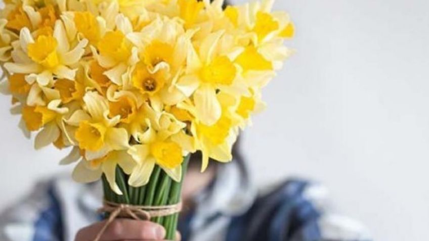 Increíble: Aquí el detrás del por qué se regalan flores amarillas cada 21 de septiembre