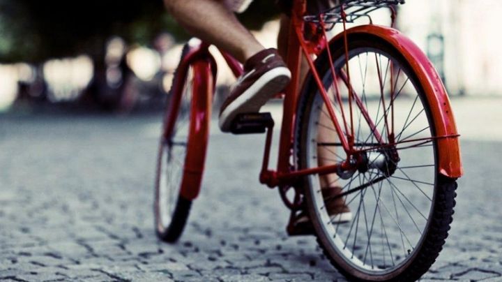 Día Mundial sin automóvil 2024: ¿Por qué se conmemora el 22 de septiembre? Origen