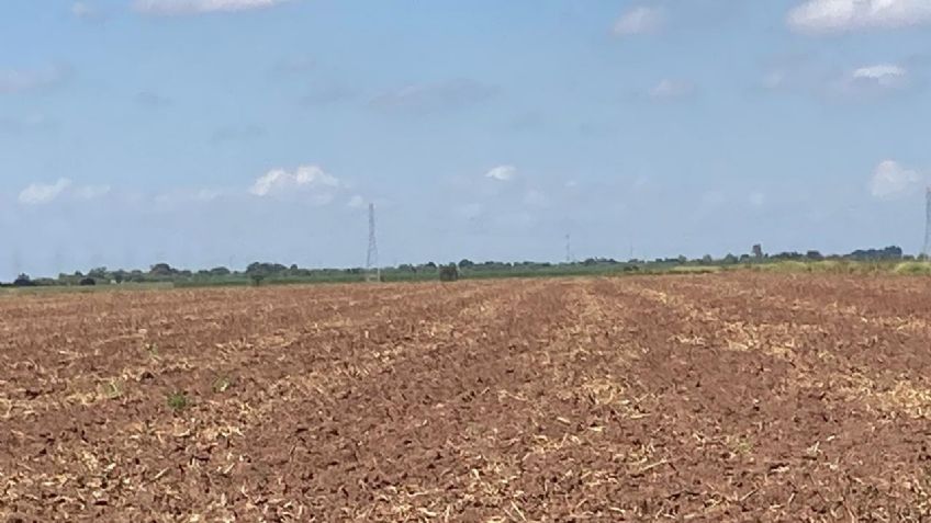 Pide Alcano tomar medidas emergentes para combatir la situación que enfrenta la actividad agrícola