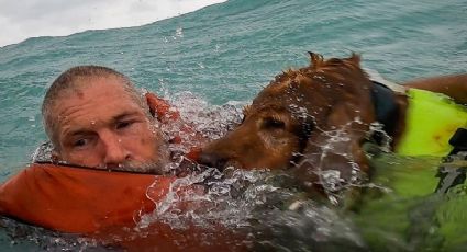 En pleno Huracán 'Helene', la Guardia Costera de EU salva a un hombre y su perro en el mar