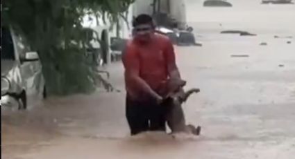 VIDEO: Héroe anónimo rescata a perrito de inundaciones en Acapulco tras paso de 'John'