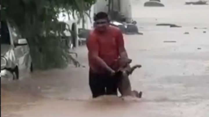 VIDEO: Héroe anónimo rescata a perrito de inundaciones en Acapulco tras paso de 'John'