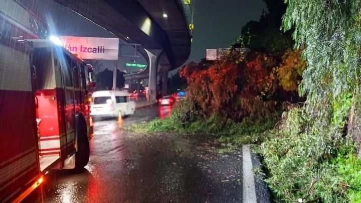 VIDEO: Fatídico accidente deja 5 muertos en la México-Querétaro; auto se parte en dos