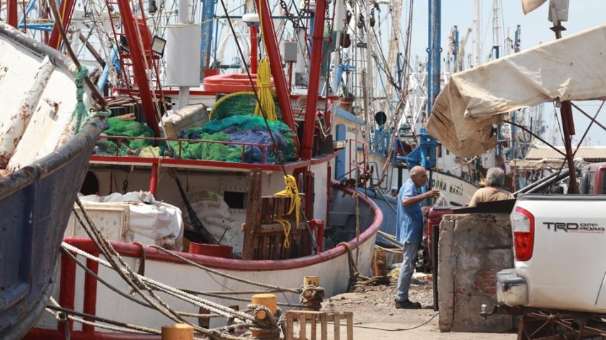 Pescadores "anclarían" barcos por altos costos de los trámites en Guaymas y Empalme