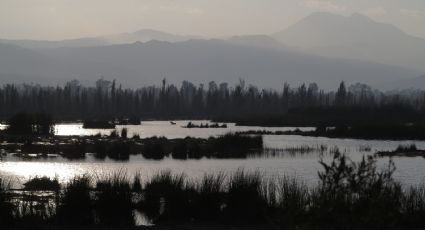 Localizan cuerpo flotando en la laguna de San Miguel Xico, en Valle de Chalco