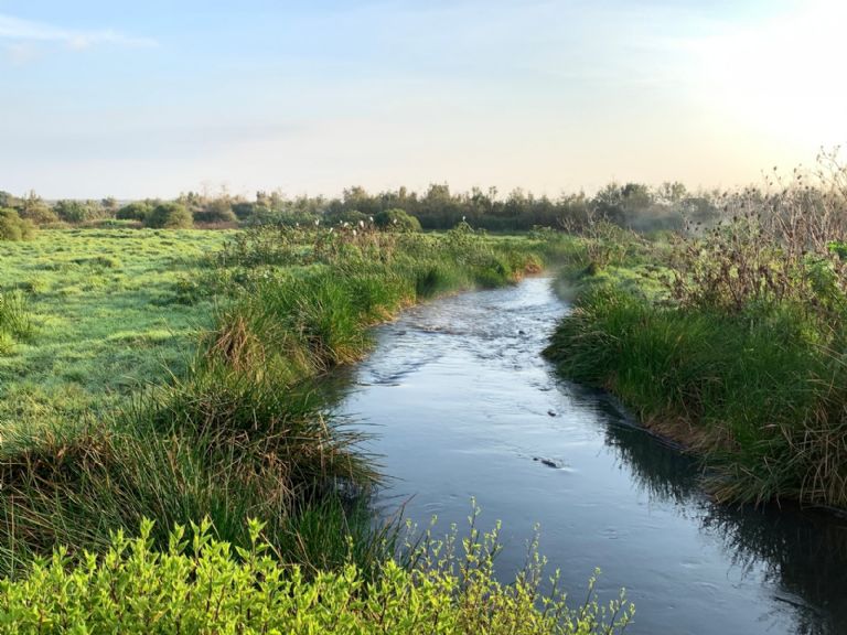 Cuerpo en Valle de Chalco