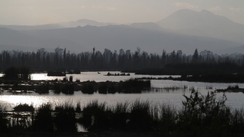 Localizan cuerpo flotando en la laguna de San Miguel Xico, en Valle de Chalco