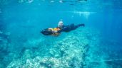 Foto ilustrativa de la nota titulada Mar de Cortés en San Carlos, un paraíso para los buzos en el marco del 'Día del Buzo' 