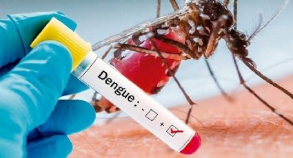 Llega el dengue al municipio de Navojoa, ya van cuatro casos confirmados