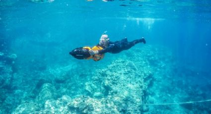 Mar de Cortés en San Carlos, un paraíso para los buzos en el marco del 'Día del Buzo' 