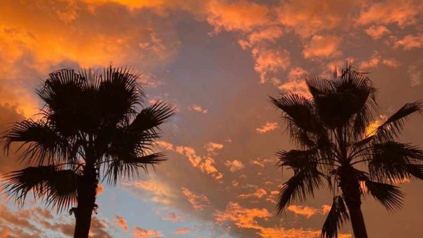 Clima en Culiacán hoy 8 de septiembre: Altas temperaturas y probabilidad de lluvias