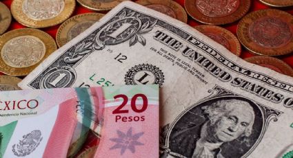 Precio del dólar de HOY 11 de enero: Así amaneció el Peso Mexicano frente a la moneda de EU