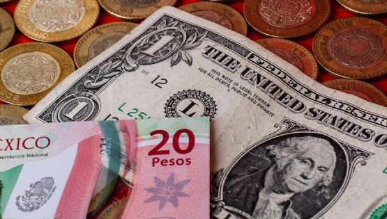 Precio del dólar de HOY 11 de enero: Así amaneció el Peso Mexicano frente a la moneda de EU