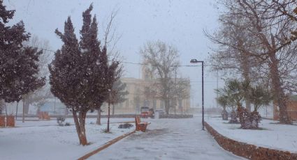 Clima en Sonora HOY 12 de enero: ¡Precaución! Conagua advierte temperaturas de -10 con heladas