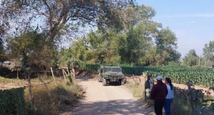 Abandonan dos cadáveres con impactos de bala en un sembradío de El Walamo, Mazatlán