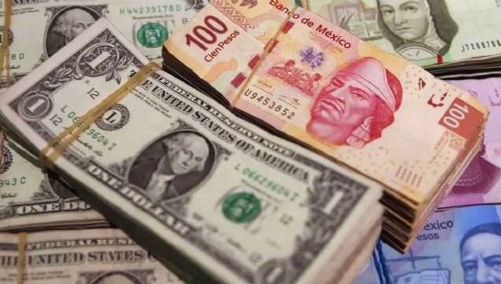 Precio del dólar HOY lunes 13 de enero 2025, más cerca de los 21 pesos mexicanos