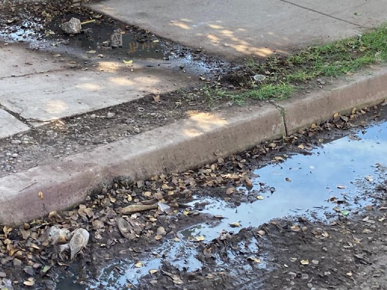  Ciudad Obregón: Pavimento en mal estado, casas abandonadas y basura por las calles