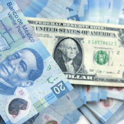 Precio del dólar HOY martes 14 de enero de 2025 en pesos mexicanos: Tipo de cambio actual