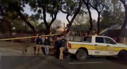 FUERTE VIDEO: A tempranas horas, atropellan a un hombre en Eje Central e Insurgentes Norte