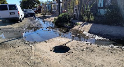 Ciudad Obregón: Solicitan atención a drenajes colapsados en colonia Urbi Villas del Real