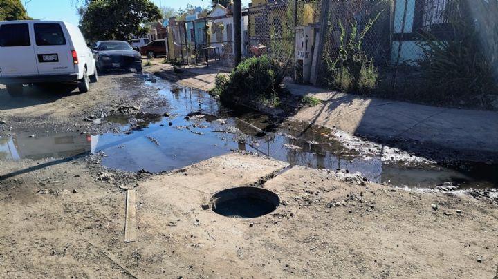 Ciudad Obregón: Solicitan atención a drenajes colapsados en colonia Urbi Villas del Real