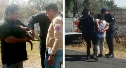 Detienen en Puebla a una mujer que trató de apuñalar a un perrito en plena vía pública