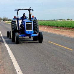 Reconversión de cultivos: Por tonelada de cártamo pagarán a productores de Sonora 437.5 dólares