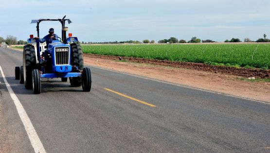 Reconversión de cultivos: Por tonelada de cártamo pagarán a productores de Sonora 437.5 dólares