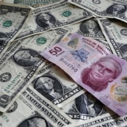 Precio del dólar HOY viernes 17 de enero 2025: Peso mexicano cierra la semana con pérdidas