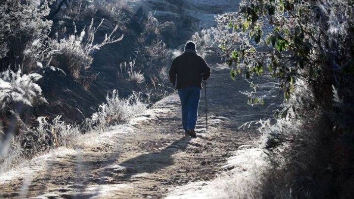 Clima Hermosillo HOY 17 de enero: Advierten nublados y mínimas de 6°C en la capital de Sonora