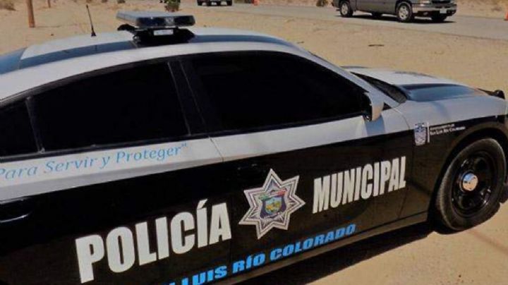 Hallan entre 18 a 25 restos humanos en territorio de SLRC, en Sonora; esto se sabe