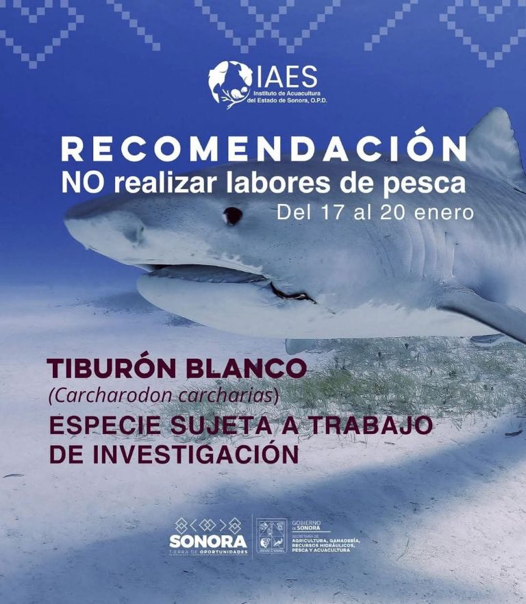 Las autoridades lanzaron una alerta a los pescadores de buceo