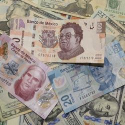 Precio del dólar HOY 19 de enero: Peso mexicano se mantiene frente a la moneda de EU