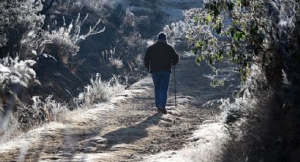 Clima en Sonora HOY 2 de enero 2025: Conagua advierte calor de 35°C y heladas de -5°C