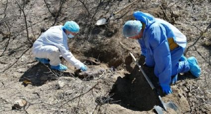 Descubren cementerio clandestino en San Ignacio Río Muerto; hay al menos seis cuerpos