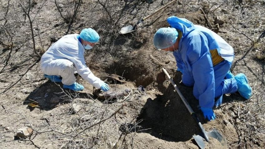 Descubren cementerio clandestino en San Ignacio Río Muerto; hay al menos seis cuerpos
